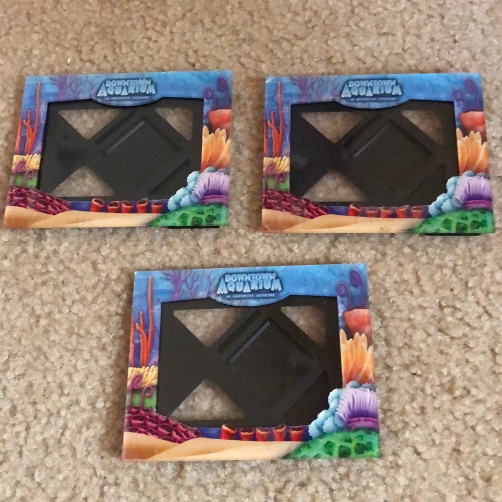 HOUSTON DOWNTOWN Aquarium Picture Frames